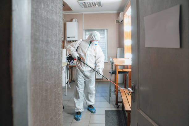 Reliable Grissom Af, IN Mold Removal Solutions