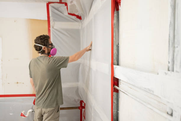 Best Mold Removal for HVAC Installations  in Grissom Af, IN