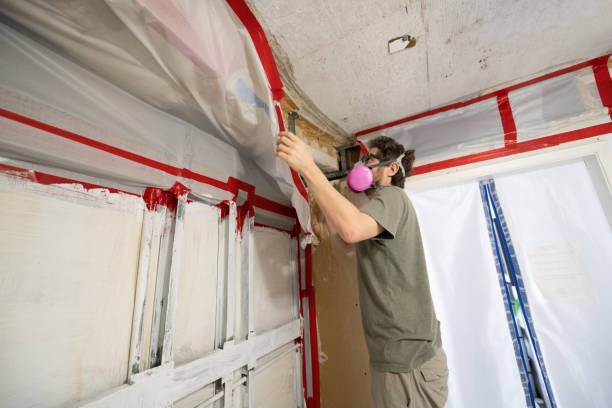 Best Mold Damage Restoration  in Grissom Af, IN