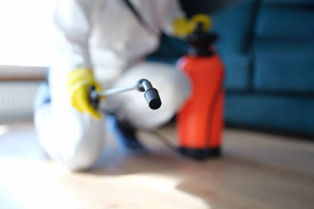Best Biohazard Mold Removal  in Grissom Af, IN